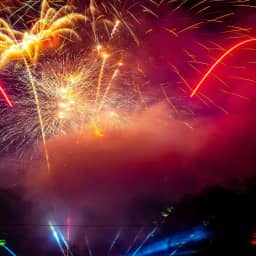 Person reflecting quietly near a window at dawn