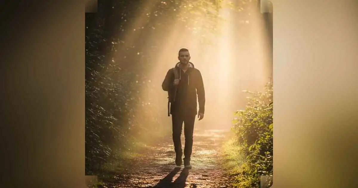 A person standing on a foggy path in nature, with light breaking through the trees ahead, symbolizing clarity and direction.