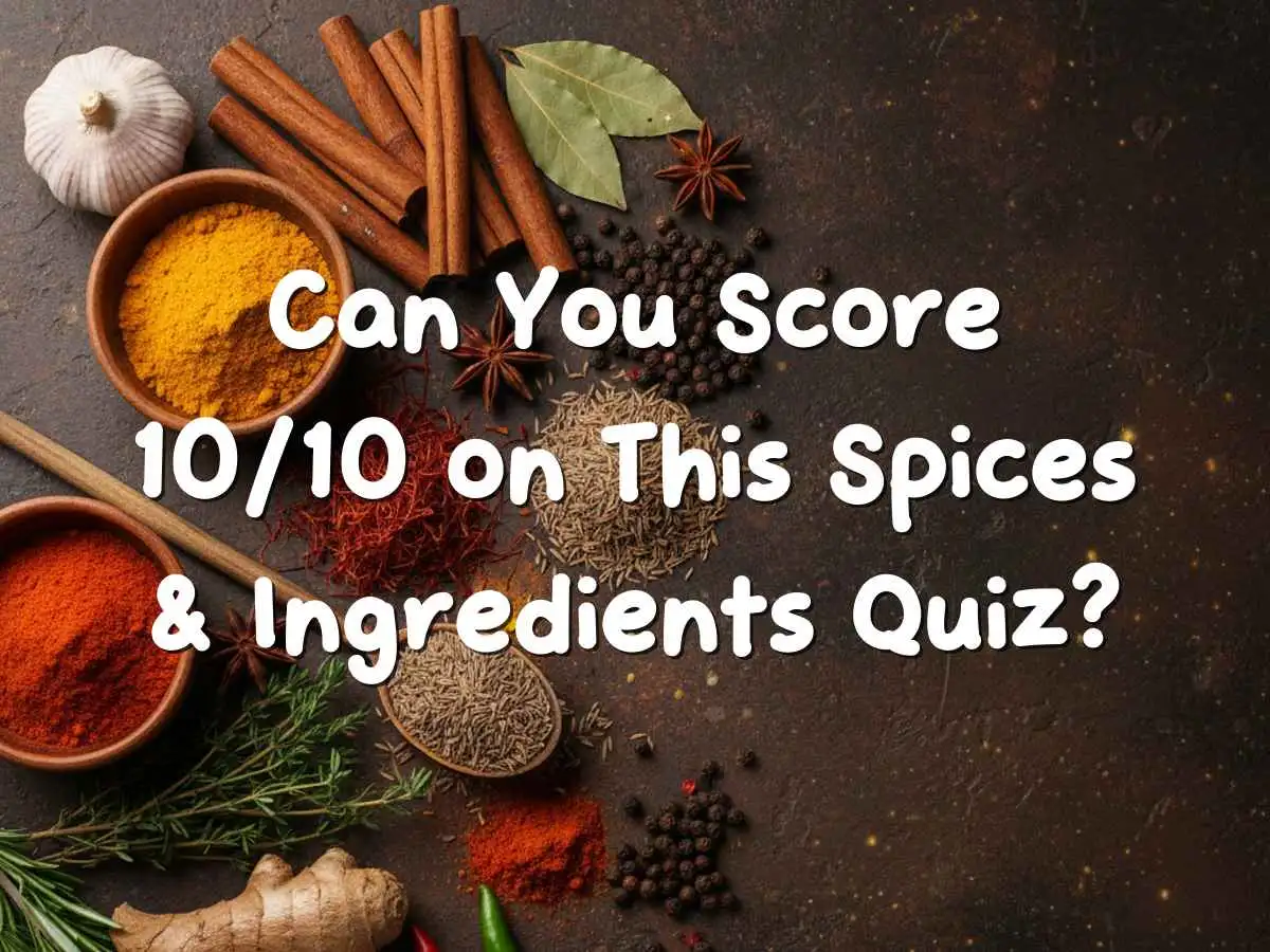 रंग-बिरखे वैश्विक मसाले और सामग्री सुंदरता से सजे हुए